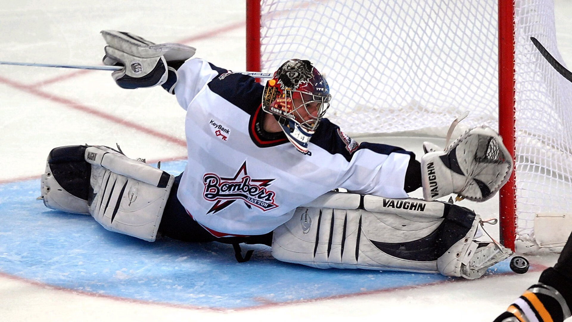 全明星投票倒计时：粉丝、球员、教练哪个最有发言权？，全明星投票规则